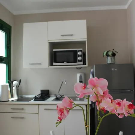 Apartman Canaima 308 *